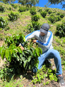 Colombia-La Guayacana Geisha Washed 200g